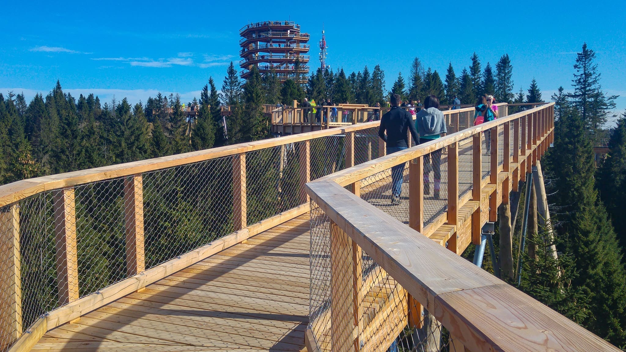 The Treetop Walk in Bachledka, Slovakia
