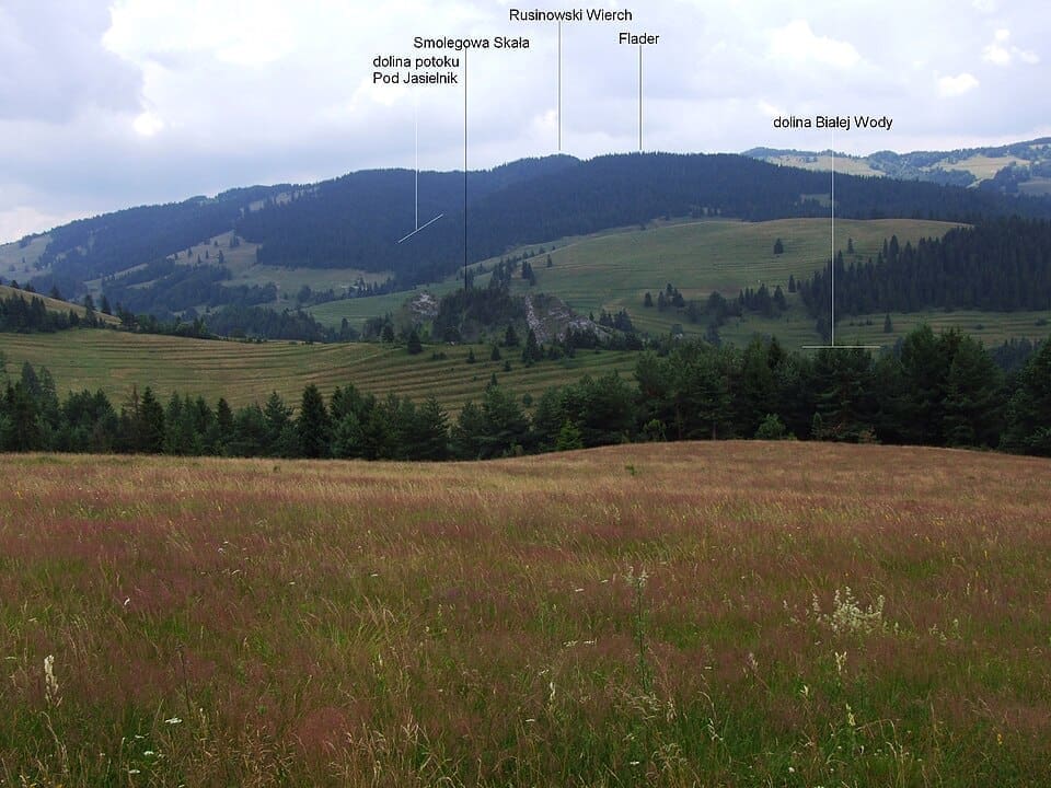 View of the Tatra mountains from Rusinowski Wierch in Bukowina Tatrzańska